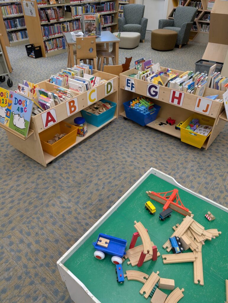 Picture of Board Book shelving the foundation purchased.