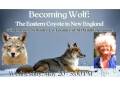 Becoming Wolf 520